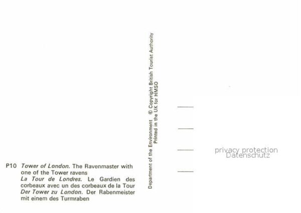 London Tower of London Ravenmaster with one th – Bild 2