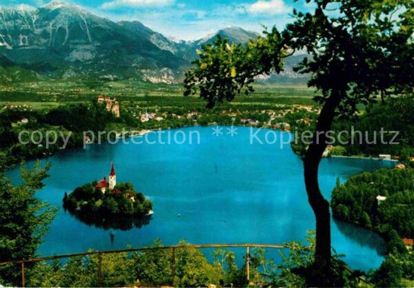 Bled Panorama Bleder See Insel Berge