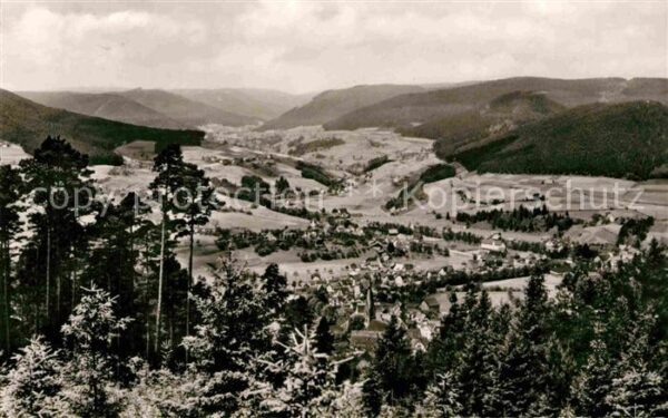 Baiersbronn Schwarzwald Panorama