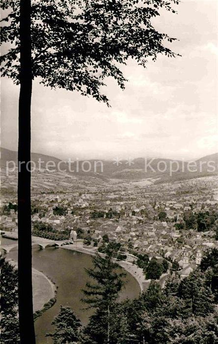 Miltenberg Main Panorama