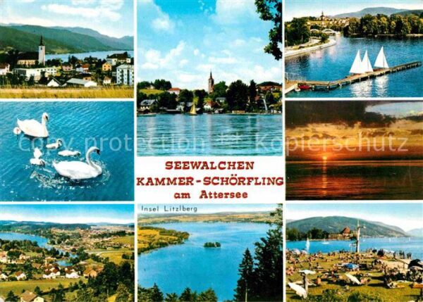 Seewalchen Attersee Kammer Schörfling Schwäne Fliegeraufnah