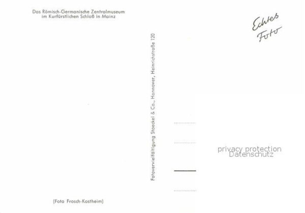 Mainz Rhein Römisch Germanisches Zentralmuseum im K – Bild 2