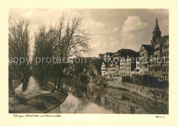 Tuebingen Neckarhalde und Platanenallee