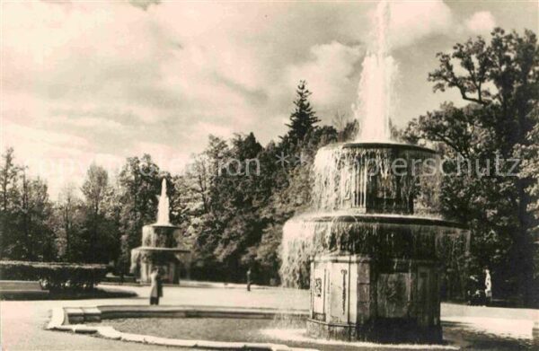 Peterhof St Petersburg Rom Brunnen