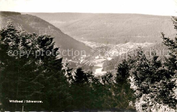 Bad Wildbad Panorama
