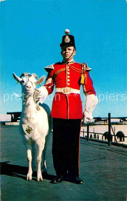 Kingston Ontario David Maskottchen vom der Fort Henry Gu