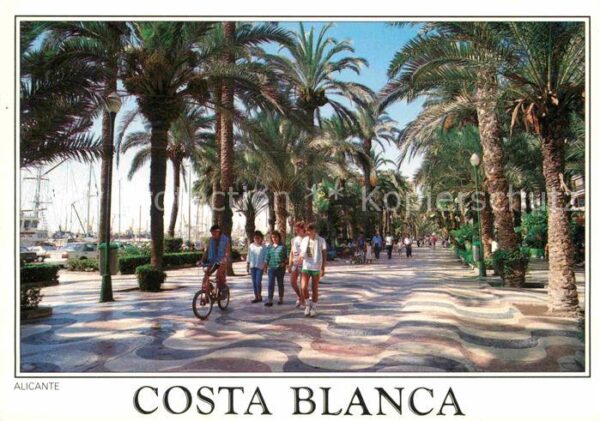 Alicante Palmenallee
