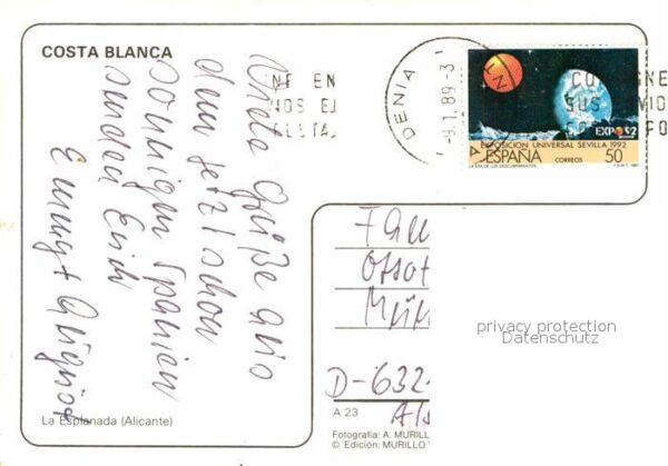 Alicante Palmenallee – Bild 2