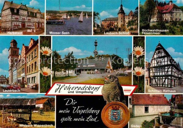 Herbstein Lauterbach Hoherodskopf Wildpark Gedern