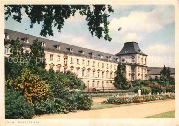 Bonn Rhein Universität