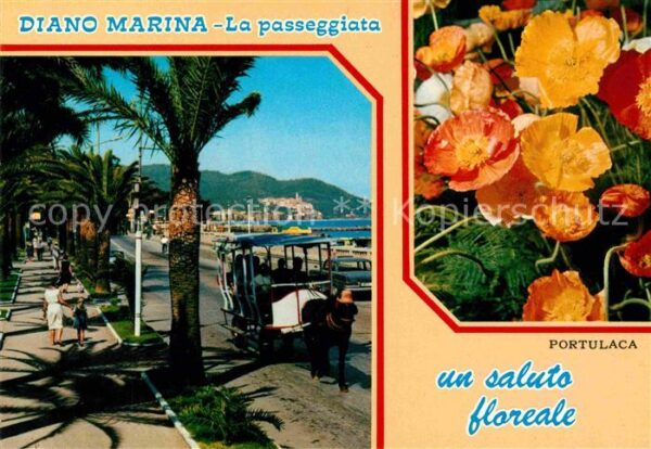 Diano Marina Promenade