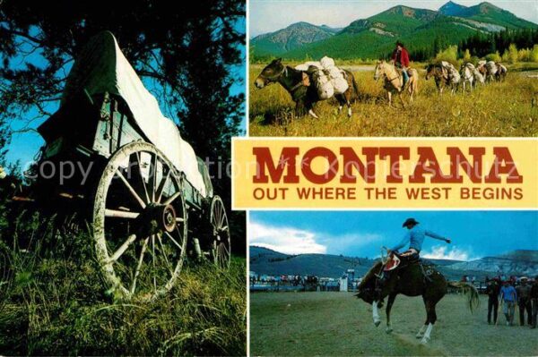 Montana Mines Westerncowboys