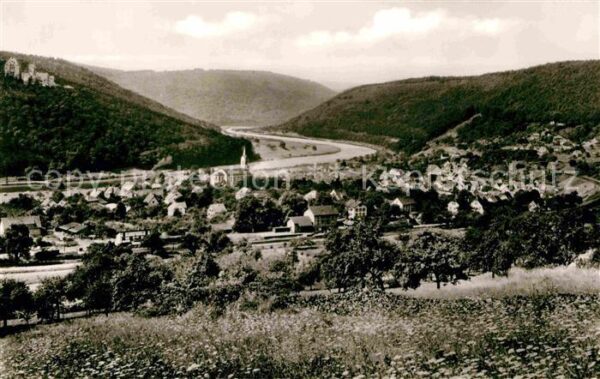 Neckargerach mit Minneburg