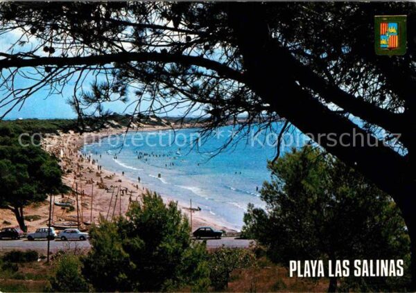 Ibiza Islas Baleares Playa Las Salina
