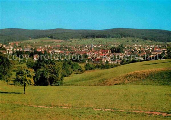 Michelstadt