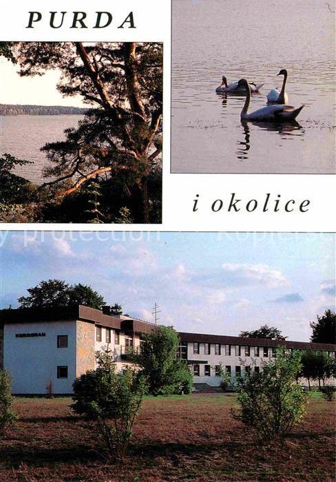 Polen Purda i Okolice Schwäne