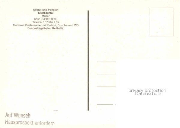 Gebroth Gestüt und Pension Ellerbachtal Pferde – Bild 2
