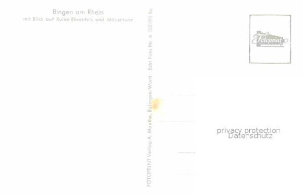 Bingen Rhein Panorama mit Blick auf Ruine Ehrenfels – Bild 2