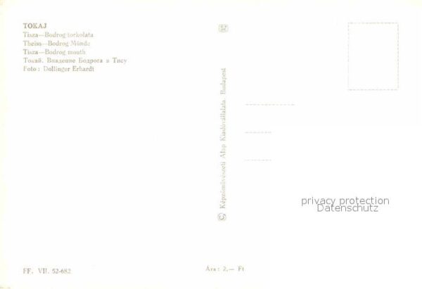 Tokaj Tisza Bodrog torkolata Theiss Bodrog Mü – Bild 2