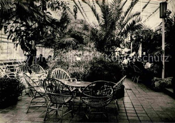 Zielona Gora Kawiarnia Palmiarnia Cafe Restaurant