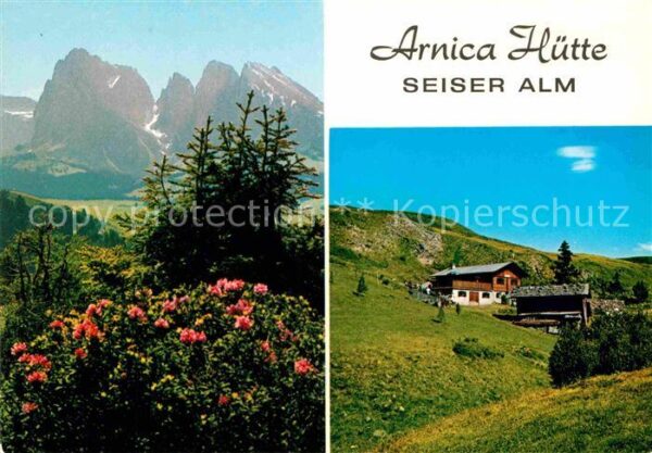 Seiser Alm Dolomiten Arnica Hütte Jausenstation Dolomiten