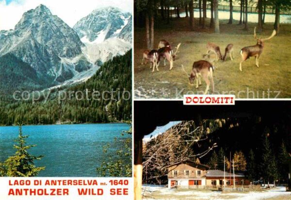 Antholz Rasen Antholzer Wildsee Lago di Anterselva Do