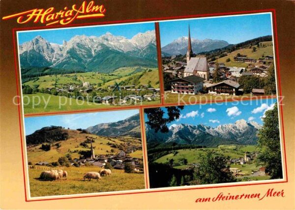 Maria Alm Steinernen Meer Gesamtansicht mit Alpenpanorama Schafe