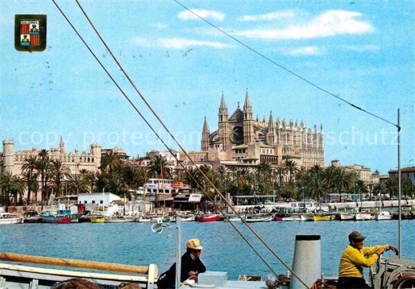 Palma de Mallorca Catedral y La Lonja Kathedrale