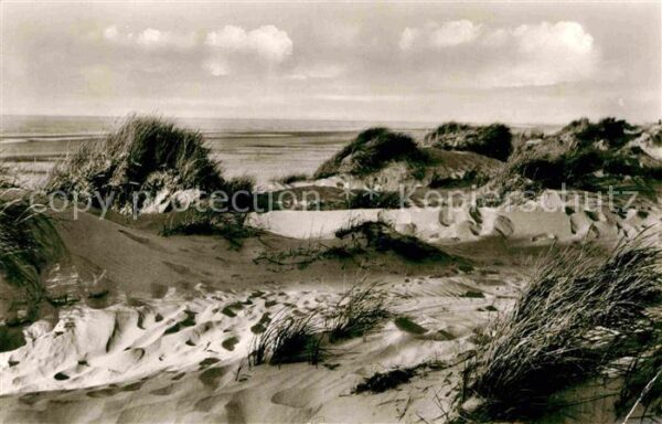 Borkum