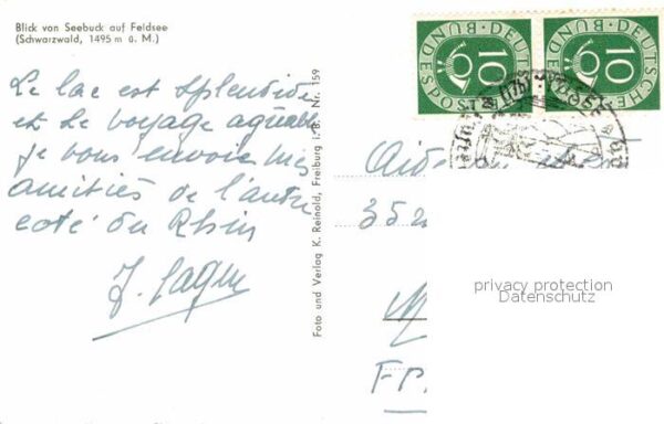 Seebuck Feldsee – Bild 2