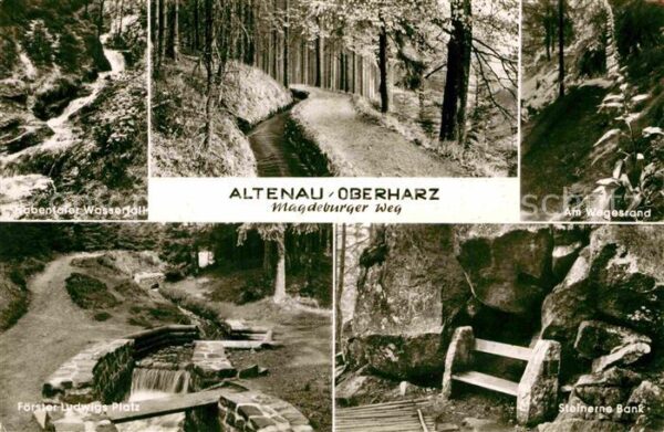 Altenau Harz Wasserfall Steinerne Bank Wegesrand För