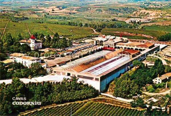 Cavas Codorniu