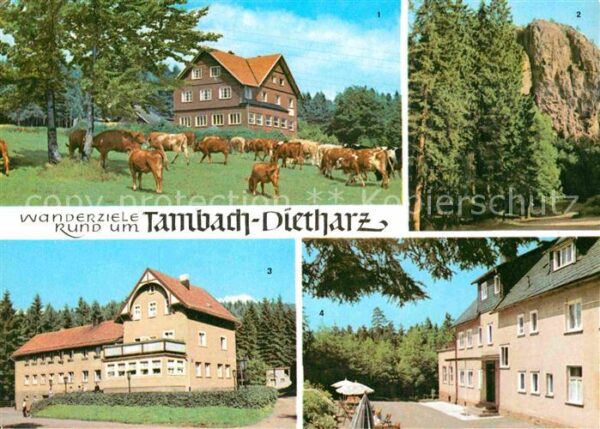 Tambach-Dietharz Berghotel Ebertswiese Falkenstein Rodeb