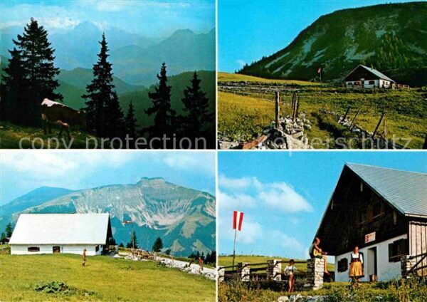 Sankt Koloman Christl-Alm Hintertrattberg