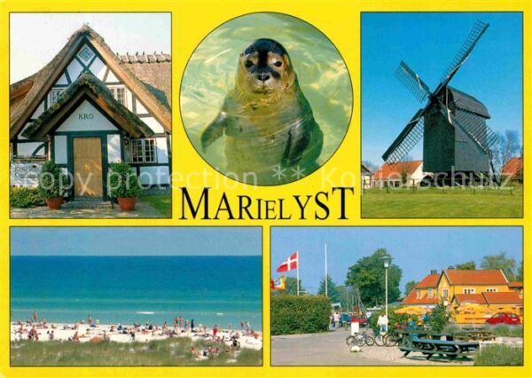 Marielyst Windmühle Kro Seehund