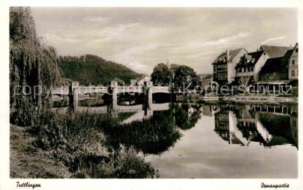 Tuttlingen Donaupartie