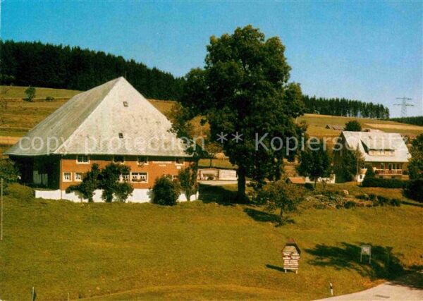 Saig Schwarzwald Neubauernhof