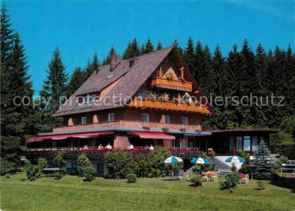 Saig Schwarzwald Cafe Alpenblick