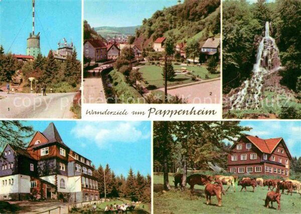 Pappenheim Thueringen Grosser Inselberg Platz des DSF Truseta