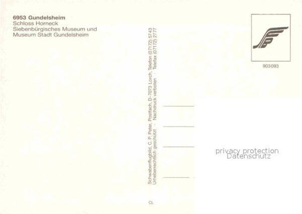Gundelsheim Neckar Fliegeraufnahme Schloss Horneck – Bild 2