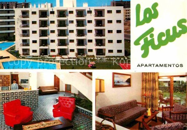 Playa del Ingles Apartamentos Los Ficus