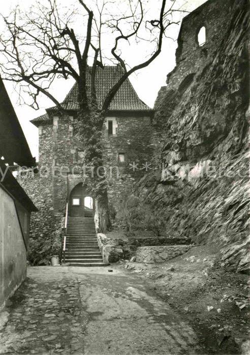 Strekov Hrad Burgruine