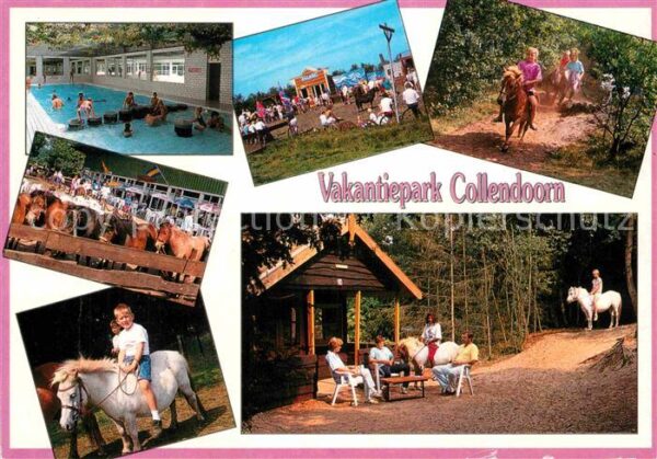 Collendorn Vakantiepark Pferde Ponys