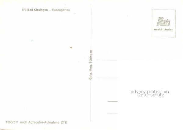 Bad Kissingen Rosengarten – Bild 2