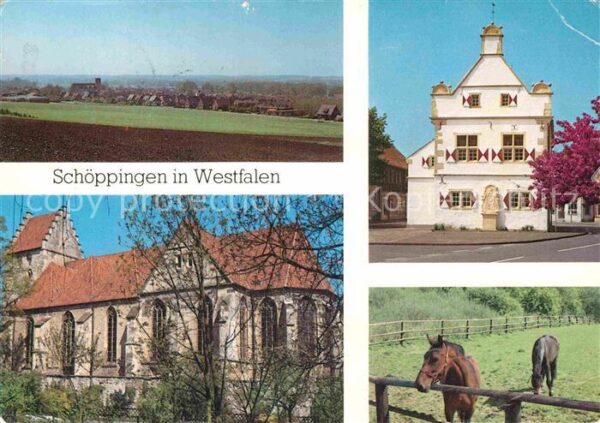 Schoeppingen Panorama Kirche Gebäude Pferde