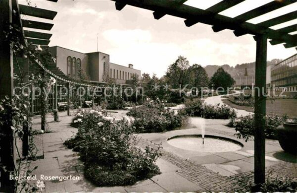 Bielefeld Rosengarten