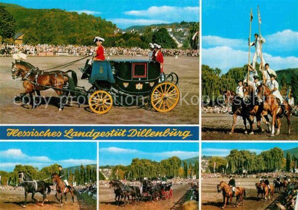 Dillenburg Hessisches Landgestüt Hengstparade
