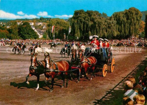 Dillenburg Hessisches Landgestüt Hengstparade