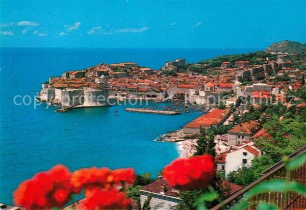 Dubrovnik Ragusa Panorama Hafen