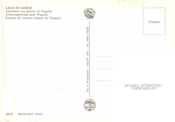 Lago di Garda Zitronengärten Limone – Bild 2